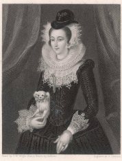 Mary-Queen-of-Scots and maltese